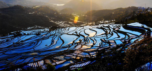 “七彩云南”闪耀全球,中智游助力云南旅游海外网络营销工作成效显著